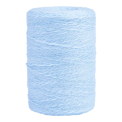 Maurice Brassard Cotton Slub Ne 8/2 – 100% Baumwolle - 227g – 21 Farben