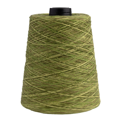 Maurice Brassard Space Dyed Baumwolle Ne 8/2